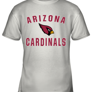 Arizona Cardinals NFL Line by Fanatics Branded Gray Victory Youth T-Shirt –