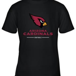 Arizona Cardinals NFL Pro Line Black Team Lockup Youth T-Shirt –