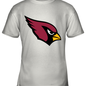 Arizona Cardinals NFL Pro Line by Fanatics Branded Gray Victory Youth T-Shirt –