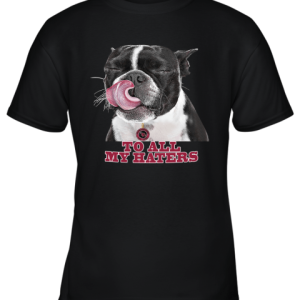 Arizona Cardinals To All My Haters Dog Licking Youth T-Shirt –