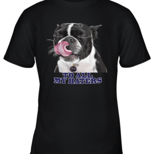 Baltimore Ravens To All My Haters Dog Licking Youth T-Shirt –