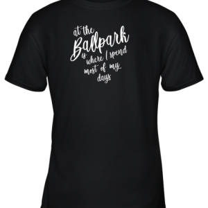 Baseball Softball Mom Hoodie At The Ballpark Spend Most Of My Youth T-Shirt –