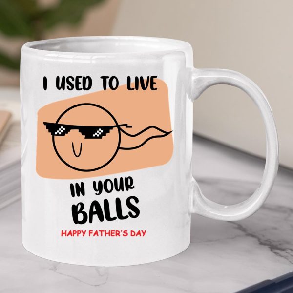 I Used To Live In Your Balls Mug Father’s Funny Birthday For Dad  Itees Global