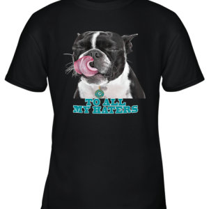 Miami Dolphins To All My Haters Dog Licking Youth T-Shirt –