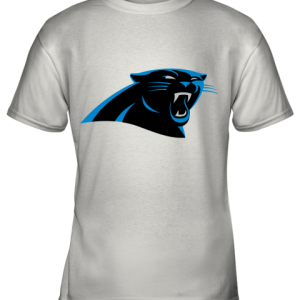 Panthers NFL Pro Line by Fanatics Branded Gray Victory Youth T-Shirt –
