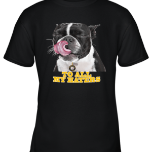 Pittburg Steelers To All My Haters Dog Licking Youth T-Shirt –