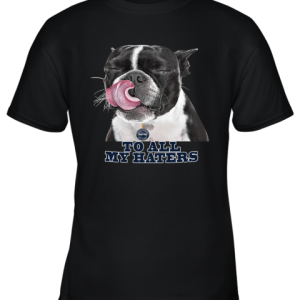 Seattle Seahawks To All My Haters Dog Licking Youth T-Shirt –