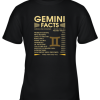 Zodiac Gemini Facts Awesome Zodiac Sign Daily Value Youth T-Shirt –
