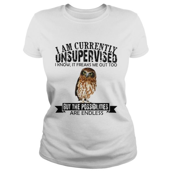 Burrowing Owl I am currently Unsupervised I know it freaks me out too but the possibilities are endless shirt