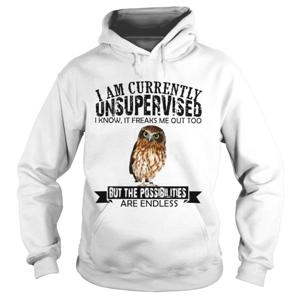 Burrowing Owl I am currently Unsupervised I know it freaks me out too but the possibilities are endless shirt