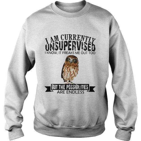 Burrowing Owl I am currently Unsupervised I know it freaks me out too but the possibilities are endless shirt