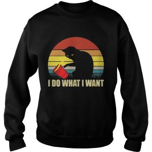Cat I do what I want sunset shirt 2