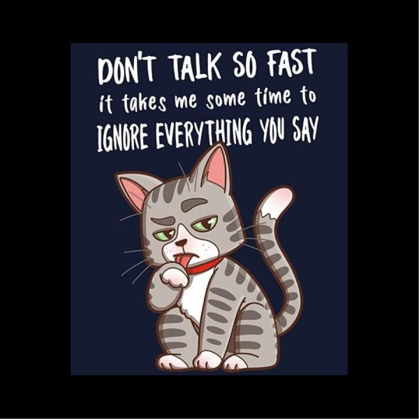 Cat don’t talk so fast it takes me some time to ignore everything you say shirt