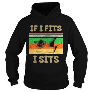 Cat if I fits I sits vintage sunset shirt 2