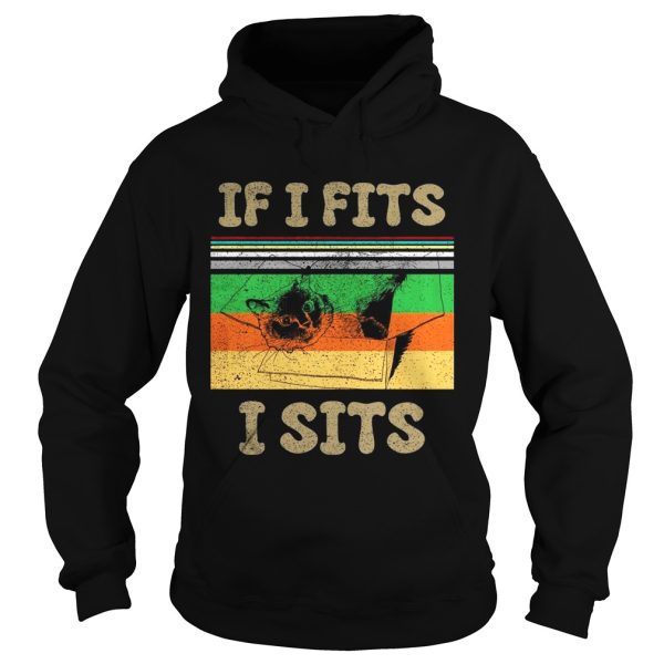 Cat if I fits I sits vintage sunset shirt