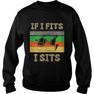 Cat if I fits I sits vintage sunset shirt 3