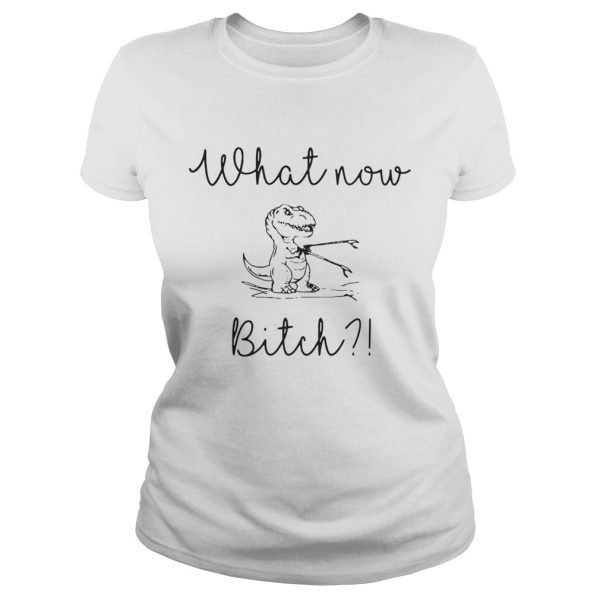 Dinosaurs What Now Bitch shirt