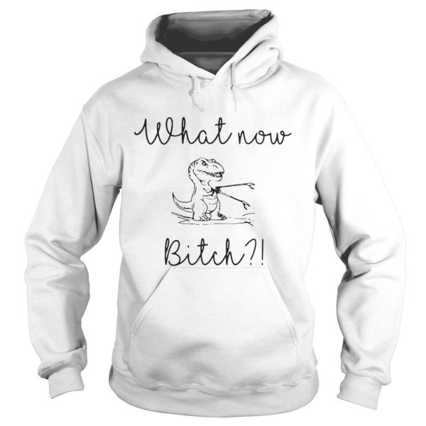 Dinosaurs What Now Bitch shirt