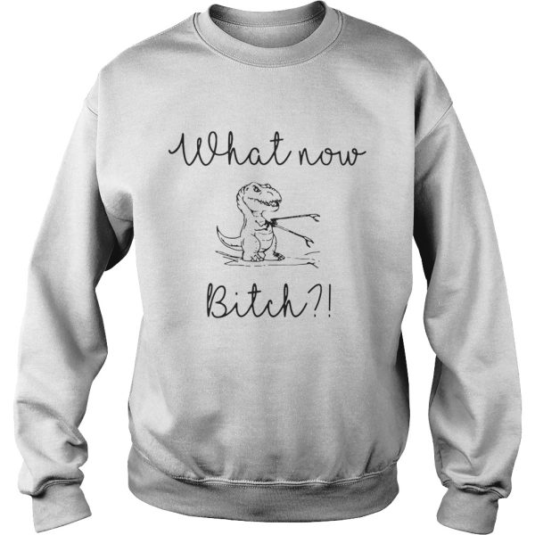 Dinosaurs What Now Bitch shirt