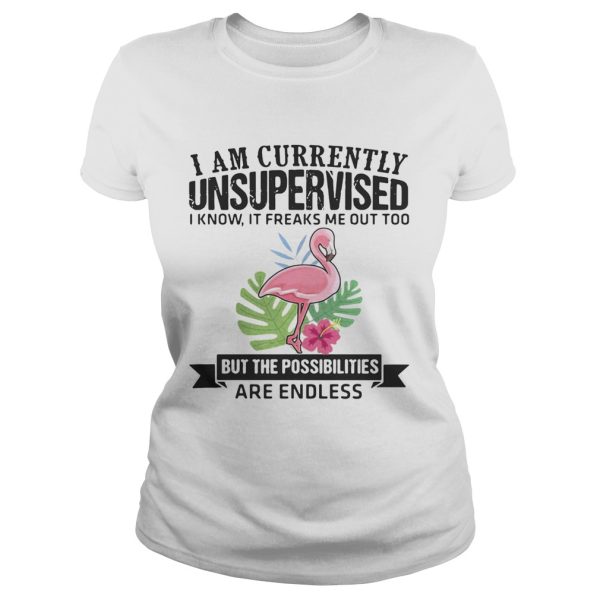 Flamingo I am currently unsupervised I know It freaks me out too but the possibilities are endless shirt