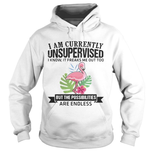 Flamingo I am currently unsupervised I know It freaks me out too but the possibilities are endless shirt