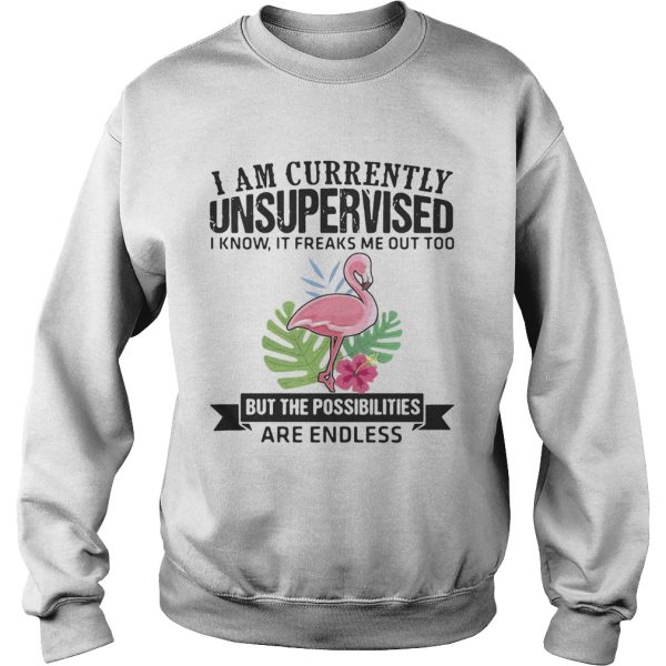 Flamingo I am currently unsupervised I know It freaks me out too but the possibilities are endless shirt