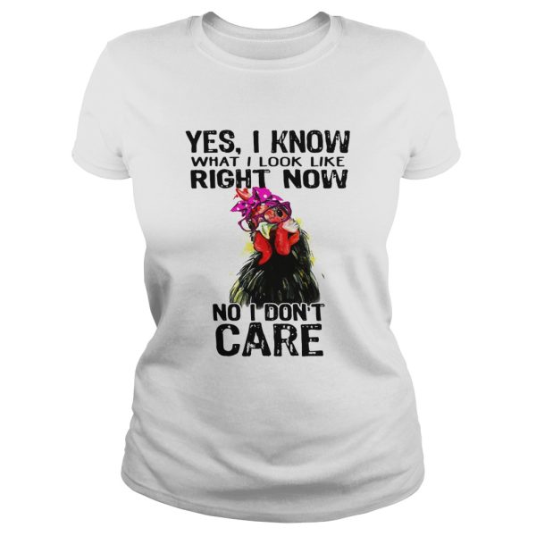 Hen yes I know what I look like right now no I don’t care shirt