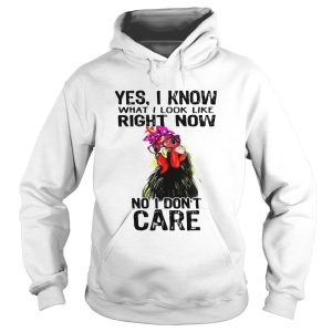 Hen yes I know what I look like right now no I don't care shirt 2