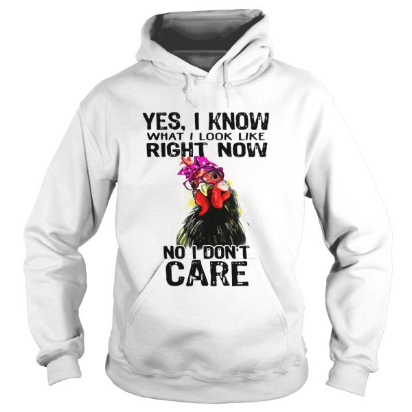 Hen yes I know what I look like right now no I don’t care shirt