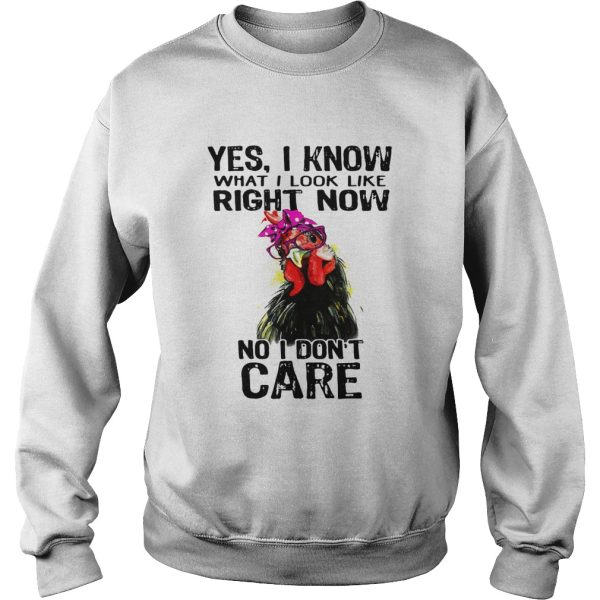 Hen yes I know what I look like right now no I don’t care shirt