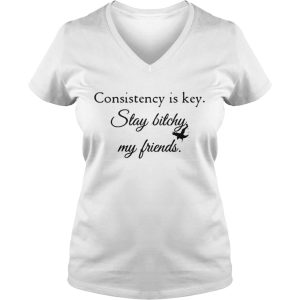 Consistency is key stay bitchy my friends shirt 1