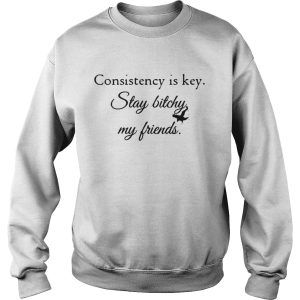 Consistency is key stay bitchy my friends shirt 2