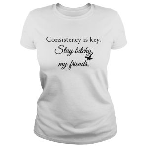 Consistency is key stay bitchy my friends shirt 3