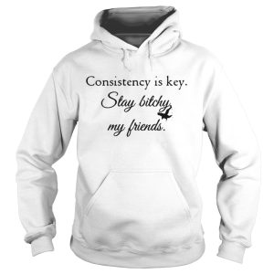 Consistency is key stay bitchy my friends shirt 4