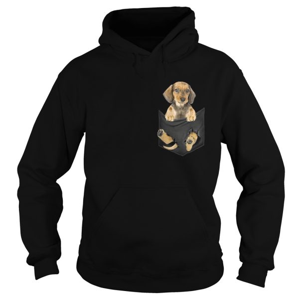 Dachshund in the pocket Christmas shirt