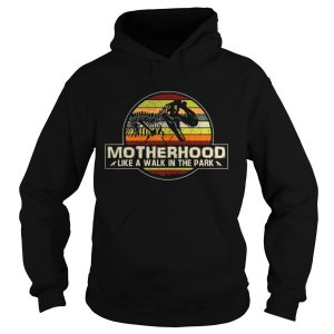 Dinosaur Motherhood like a walk in the park vintage sunset shirt 2