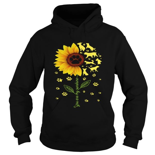 Dogs sunflower you are my sunshine shirt