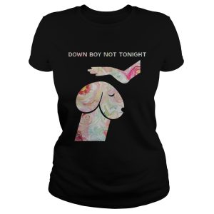 Down Boy Not Tonight Flower Dickhead Dog Noma Bar shirt 1