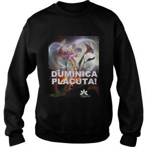 Duminica Placuta Obiectiv Shirt 3