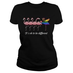 Flamingo LGBT It's ok to be different shirt 1