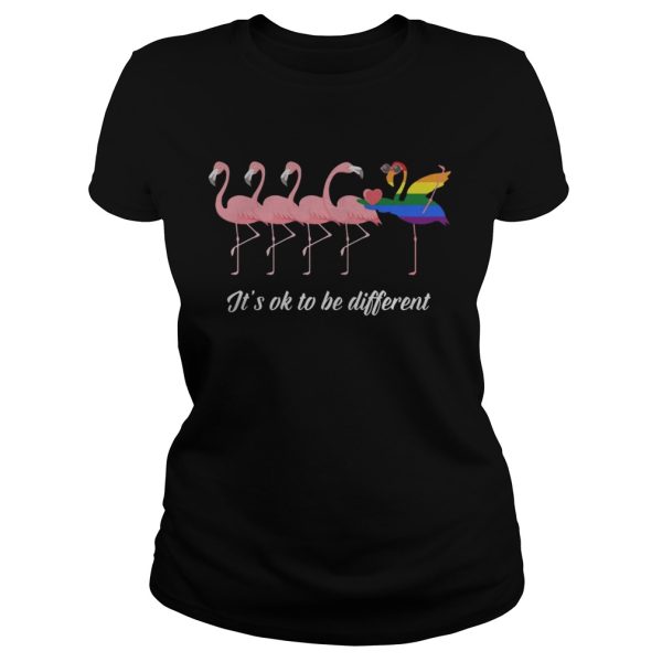 Flamingo LGBT It’s ok to be different shirt