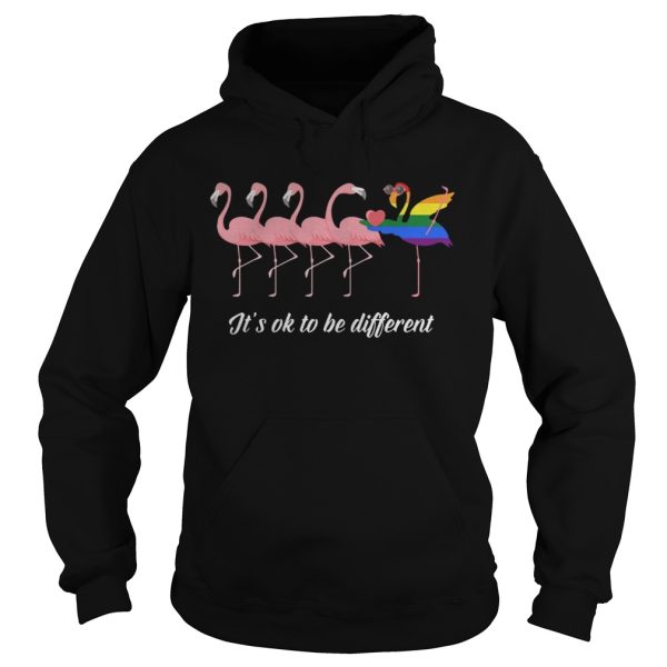 Flamingo LGBT It’s ok to be different shirt