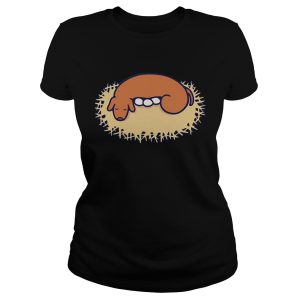 HAL Laboratory shirt 1 HAL Laboratory shirt 2