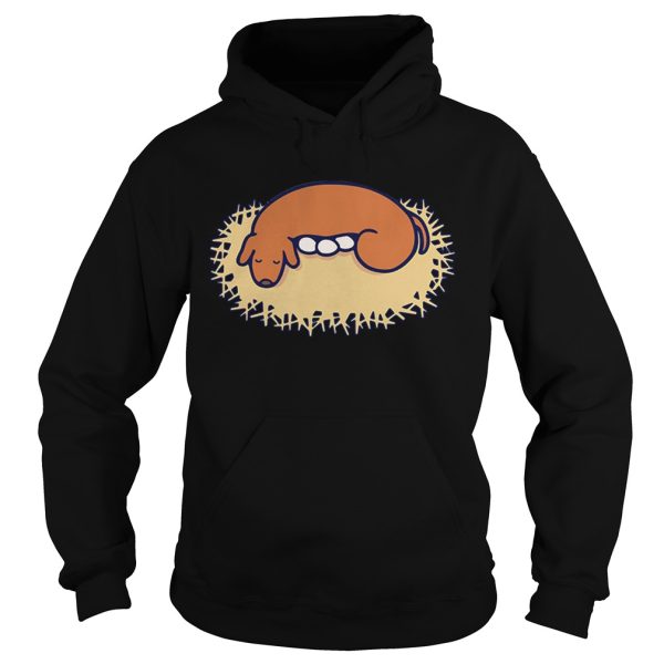 HAL Laboratory shirt