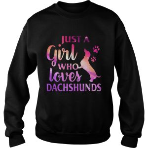 Just A Girl Who Loves Dachshund Colorful Gift Shirt 3