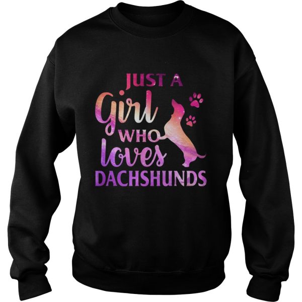 Just A Girl Who Loves Dachshund Colorful Gift Shirt