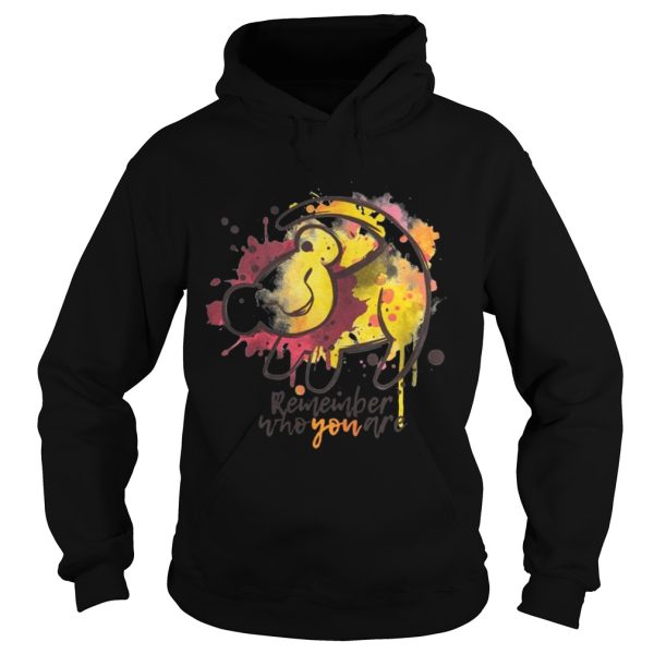 Lion King Remember who you are shirts