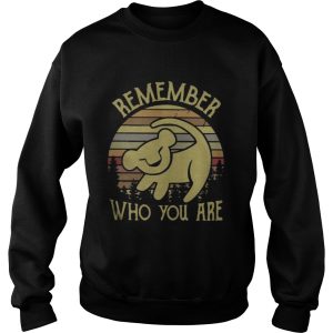 Lion King remember who you are shirt 3