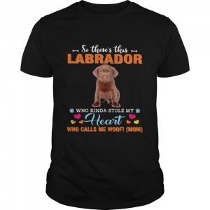 Official a Dog Kinda Stole My Heart So There’s This Chocolate Labrador Who Kinda Stole My Heart Who Calls Me Woof Mom Shirt
