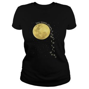 Panic at the Disco hey moon please forget to fall down shirt 1